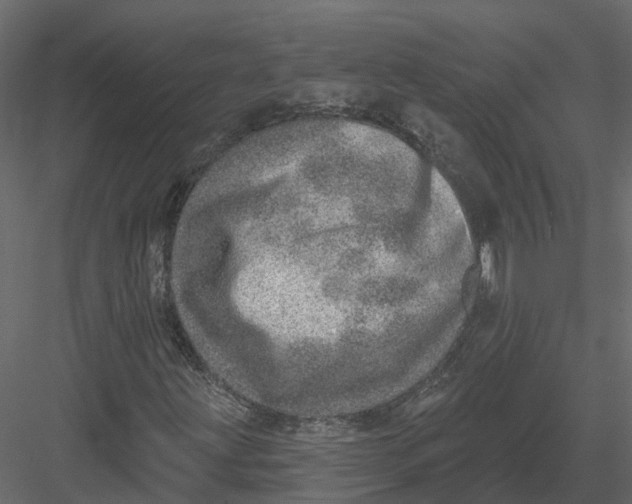X0000082981203200702230024