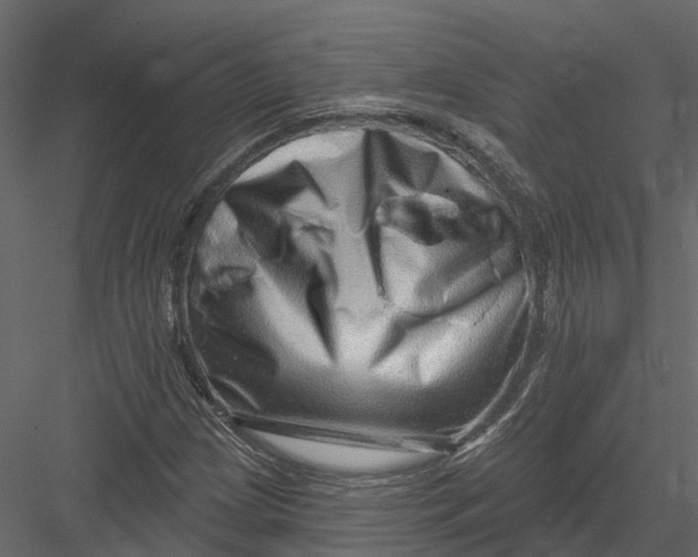 X0000082981209200702230024
