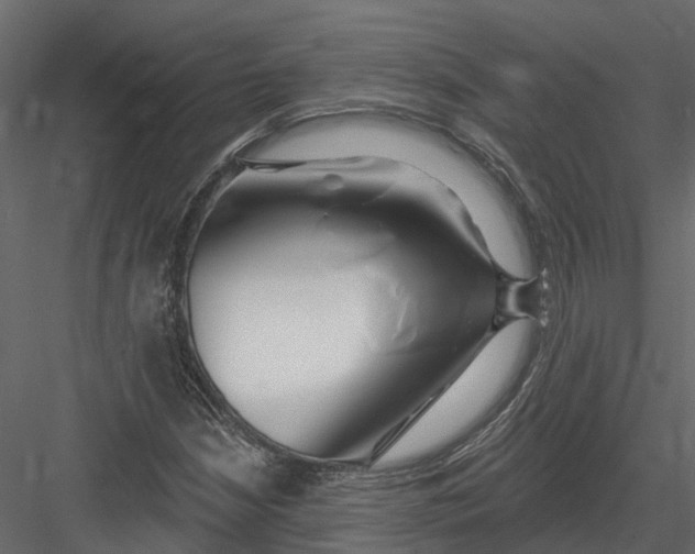 X0000082981210200702230024