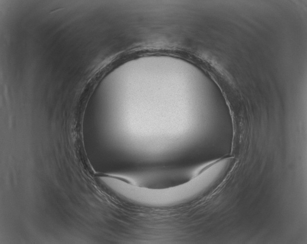 X0000082981213200702230024