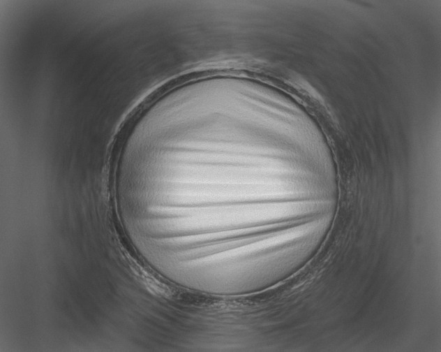 X0000082981216200702230024