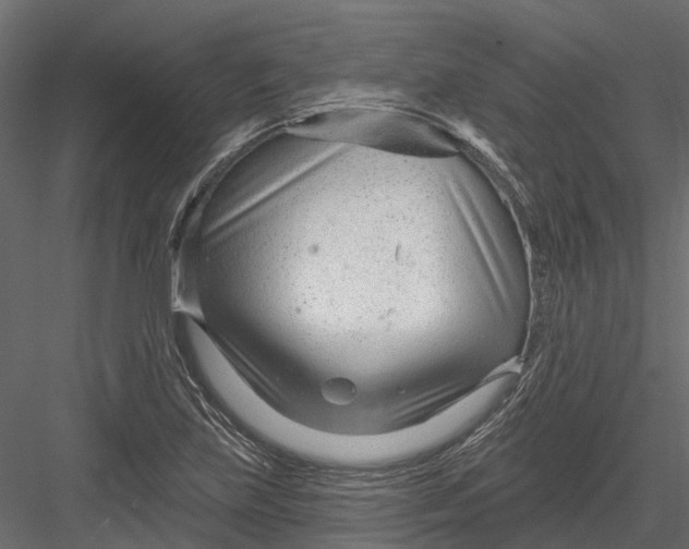 X0000082981219200702230024