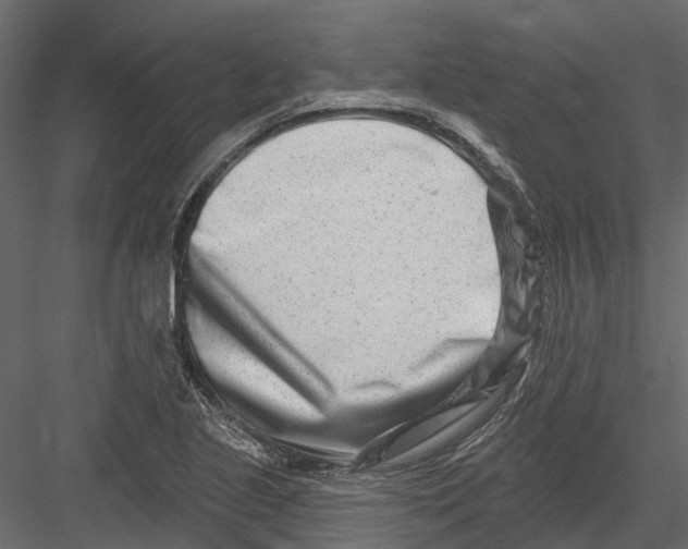 X0000082981221200702230024