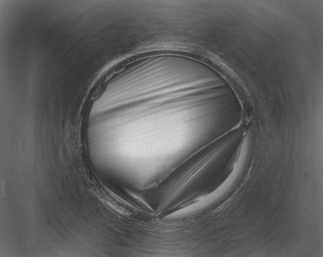 X0000082981222200702230024