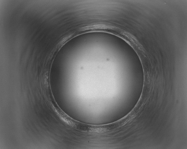 X0000082981225200702230025