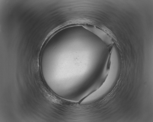 X0000082981226200702230025