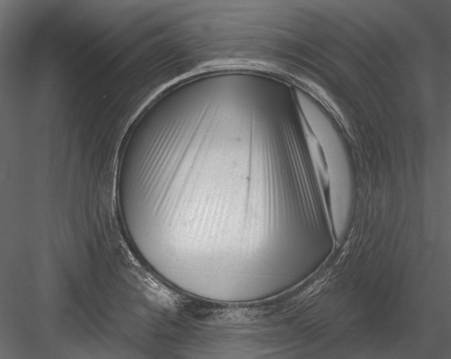 X0000082981228200702230025
