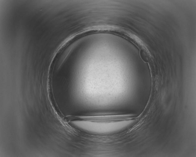 X0000082981229200702230025