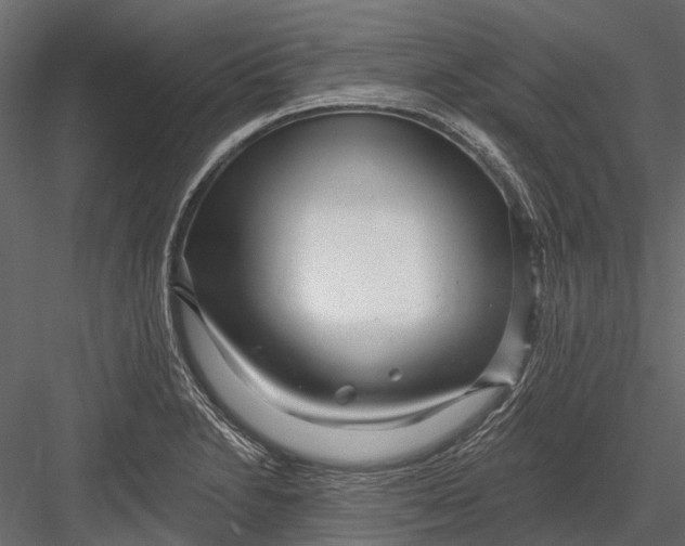 X0000082981230200702230025
