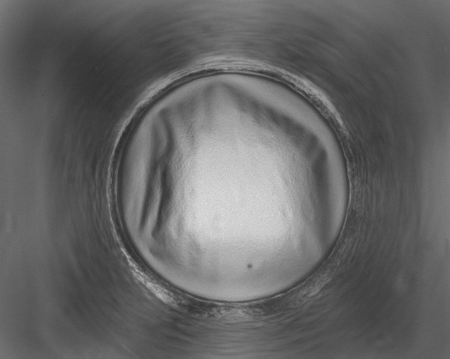 X0000082981231200702230025