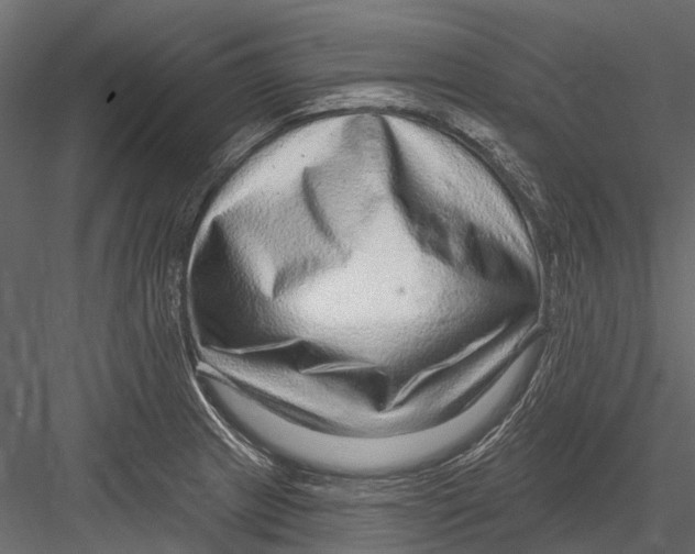 X0000082981233200702230025