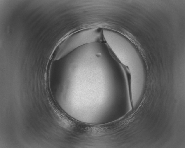 X0000082981234200702230025