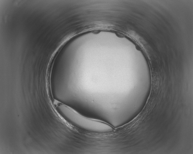 X0000082981235200702230025