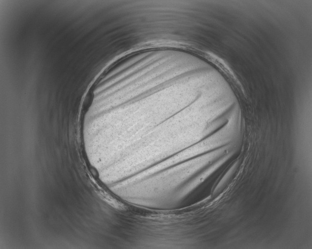 X0000082981236200702230025