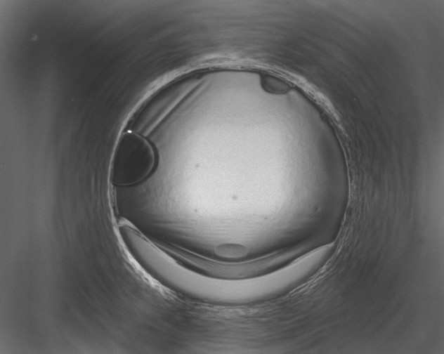 X0000082981239200702230025