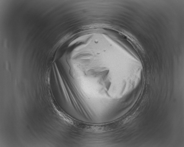 X0000082981241200702230025