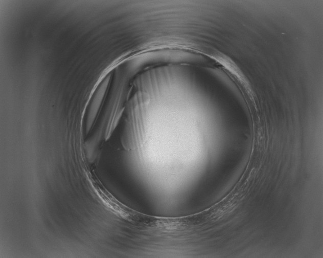 X0000082981242200702230025