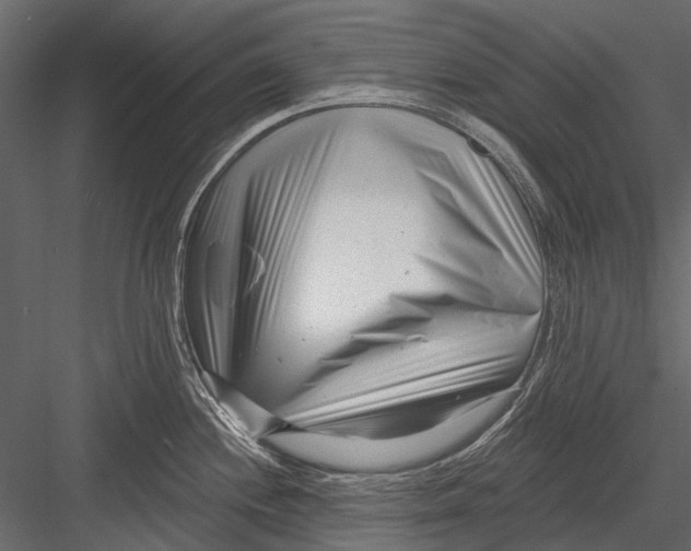 X0000082981244200702230025