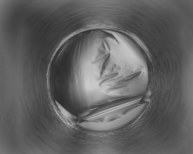 X0000082981246200702230025