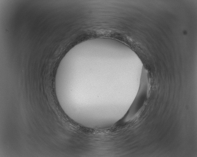 X0000082981249200702230024