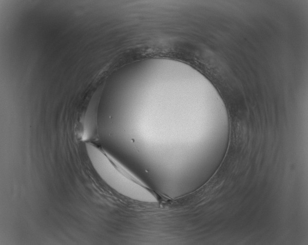 X0000082981250200702230024
