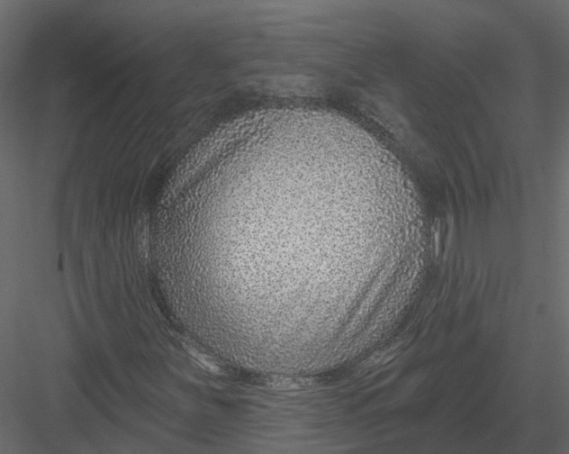 X0000082981251200702230024