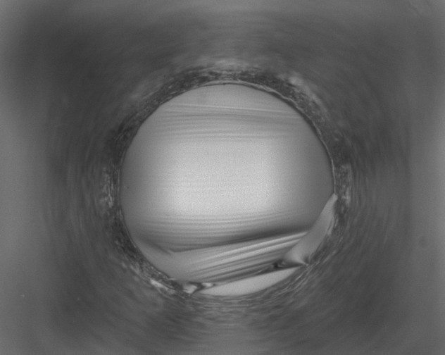 X0000082981253200702230024