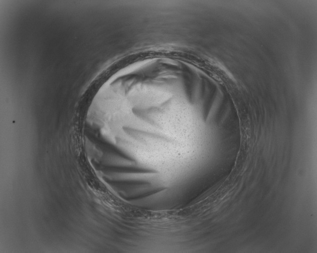X0000082981256200702230024