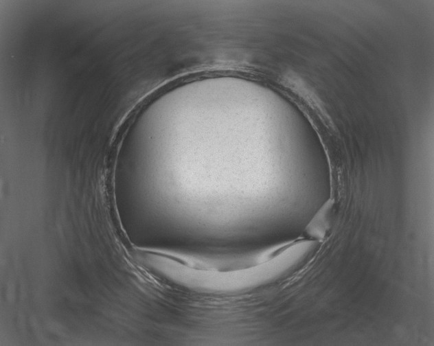 X0000082981260200702230024