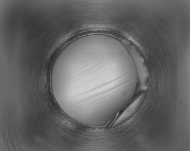 X0000082981261200702230024