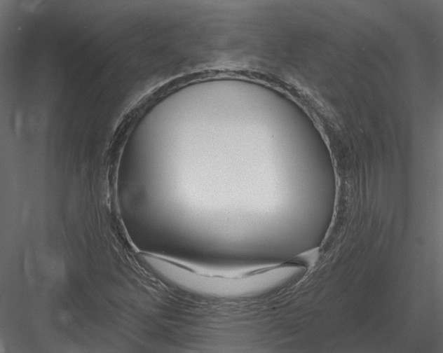 X0000082981262200702230024