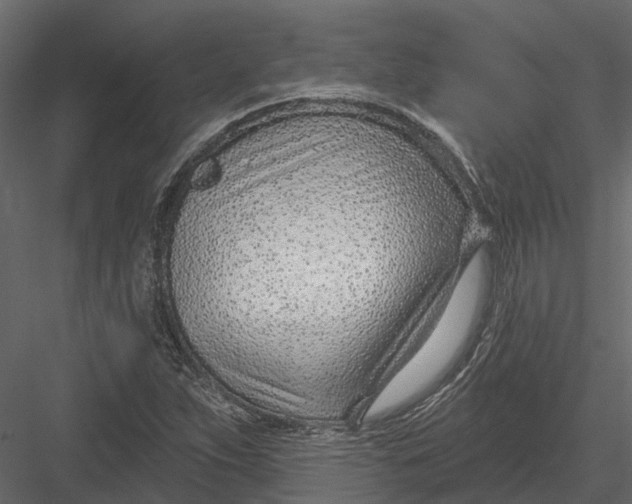 X0000082981263200702230024