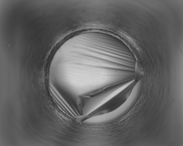 X0000082981264200702230024