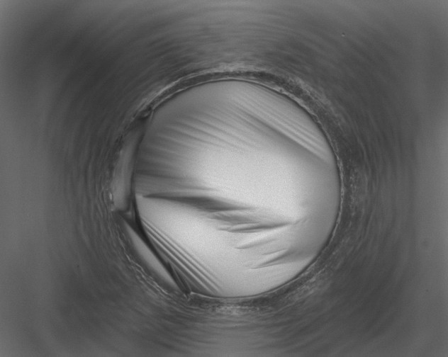 X0000082981265200702230024