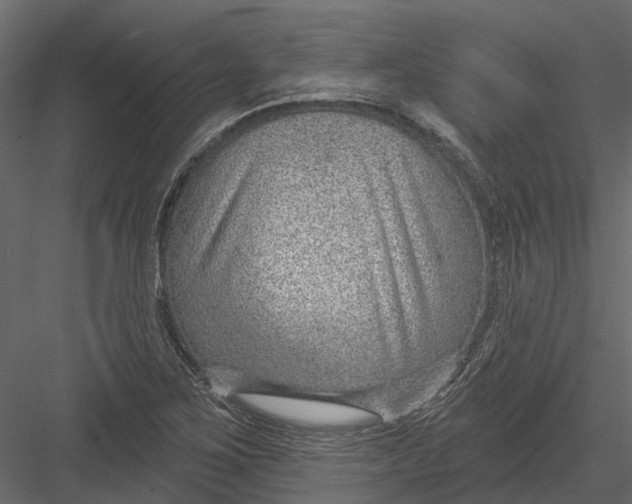 X0000082981267200702230024