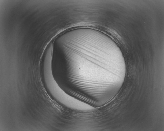 X0000082981268200702230024