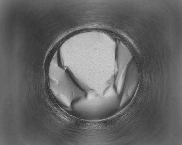 X0000082981270200702230024