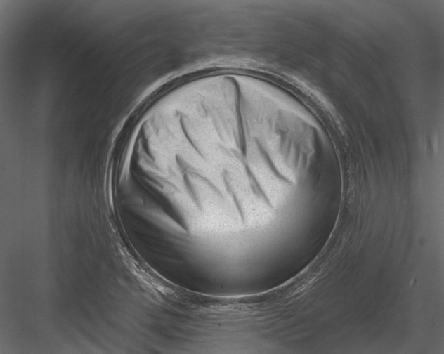 X0000082981272200702230024