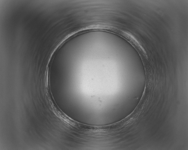 X0000082981276200702230024