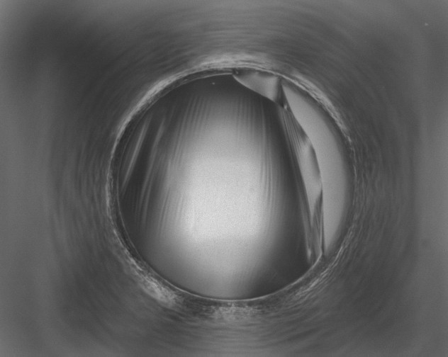 X0000082981277200702230024