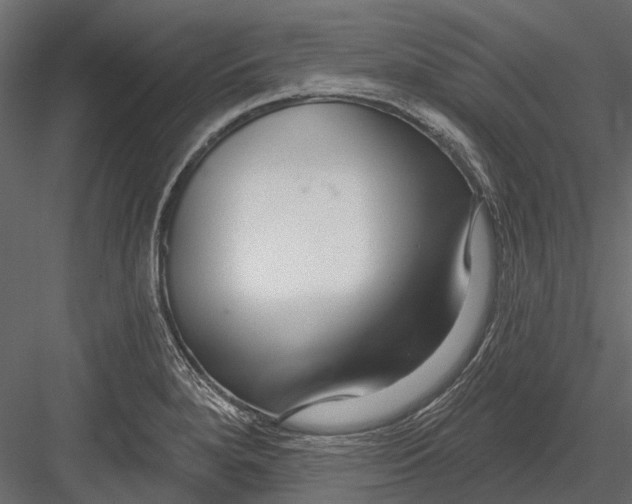 X0000082981280200702230024