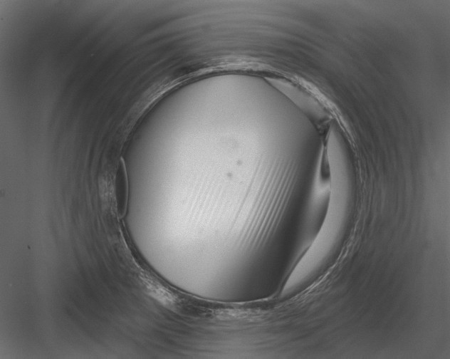 X0000082981281200702230024