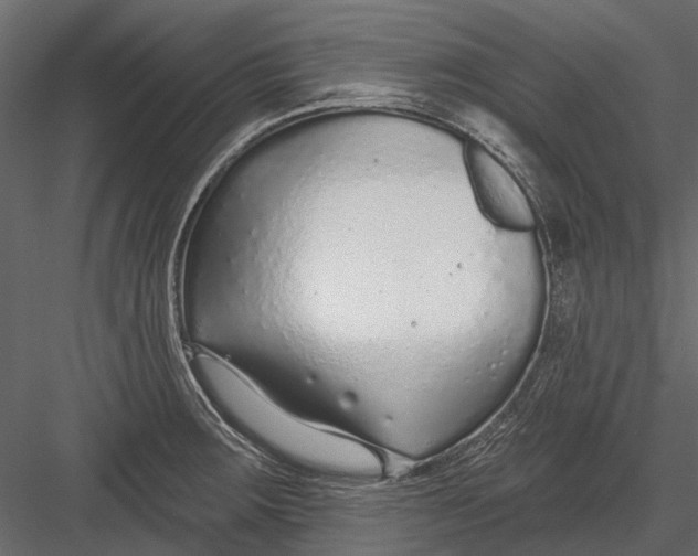 X0000082981283200702230024