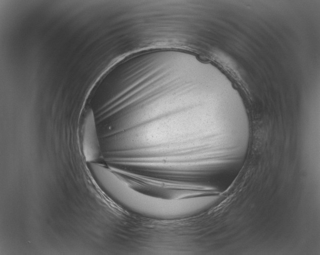 X0000082981284200702230024