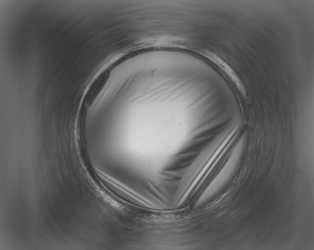 X0000082981285200702230023