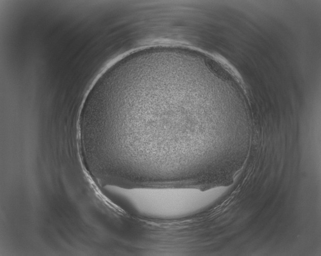 X0000082981287200702230023
