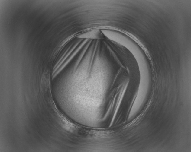 X0000082981289200702230023
