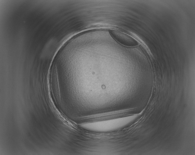 X0000082981291200702230023