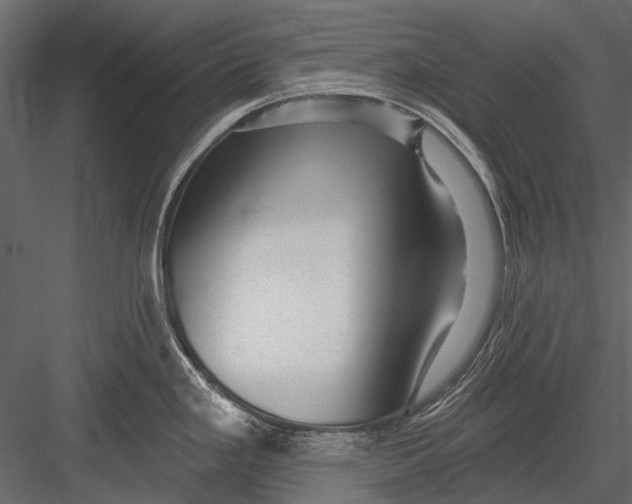 X0000082981293200702230023
