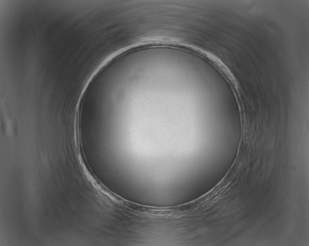 X0000082981295200702230023